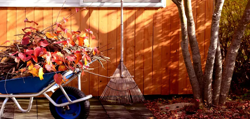 Autumn home maintenance tasks.