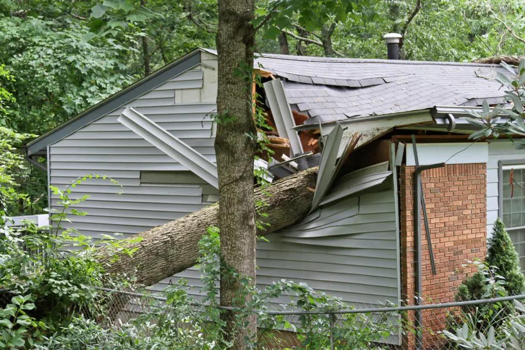 House with tree damage. 